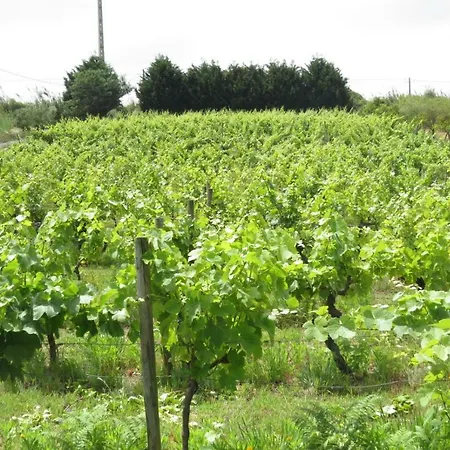 Farm Holidays Silvercoast *