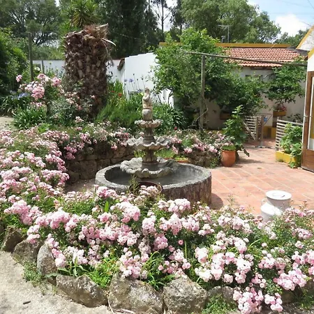 Farm Holidays Silvercoast *