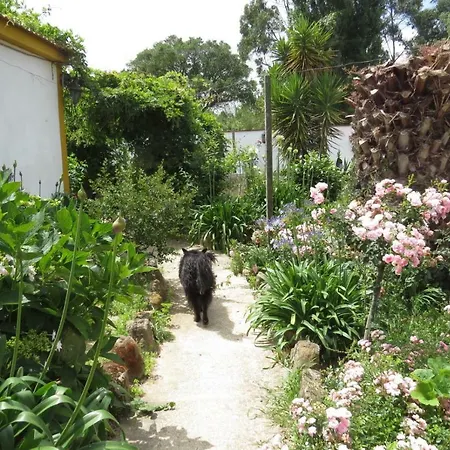 Farm Holidays Silvercoast Caldas Da Rainha