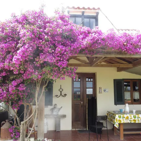 Farm Holidays Silvercoast *