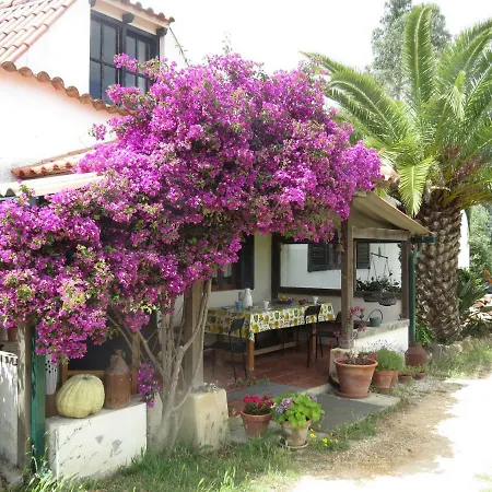 Farm Holidays Silvercoast Casa de Férias Caldas Da Rainha