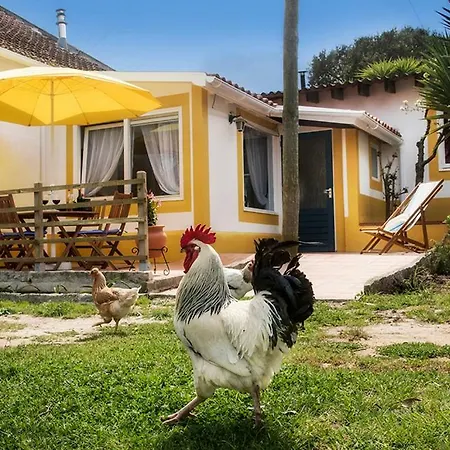 Farm Holidays Silvercoast * Caldas Da Rainha
